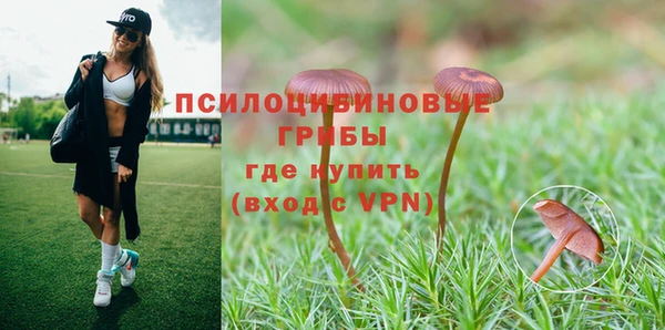 бутират Лиски