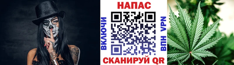 ОМГ ОМГ   Шлиссельбург  Конопля индика 
